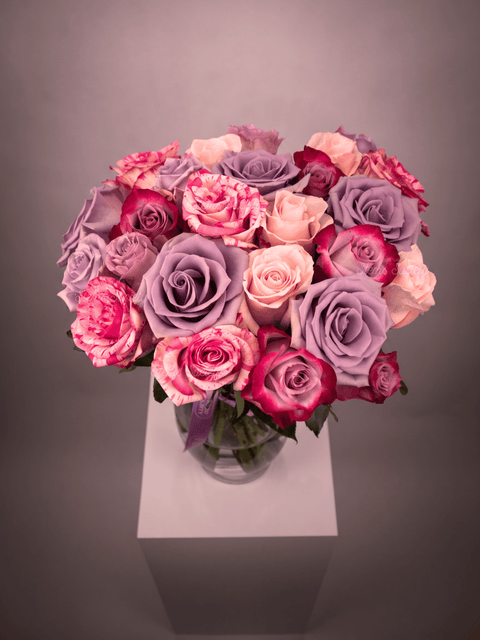 Lavender Deluxe Roses
