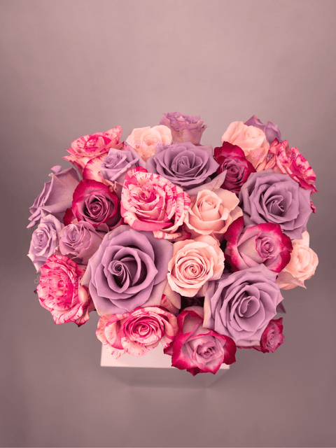 Lavender Deluxe Roses