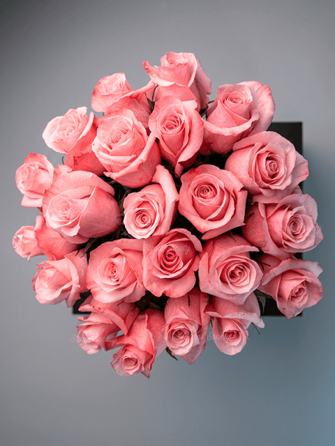 Pink Roses