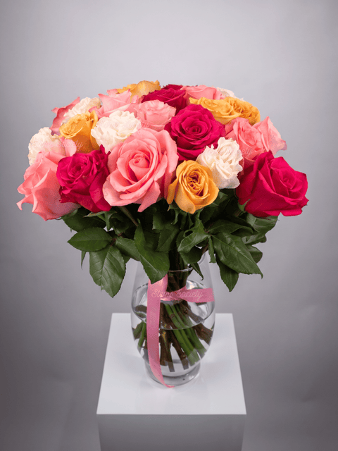 Capri Roses