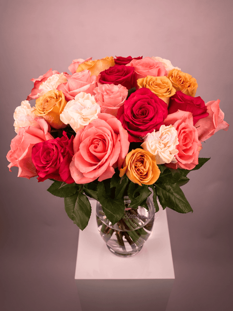 Capri Roses