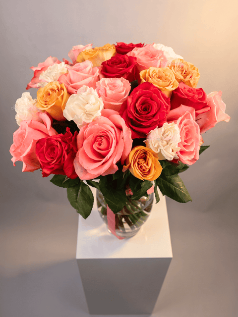 Capri Roses