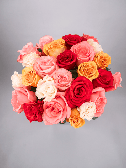 Capri Roses