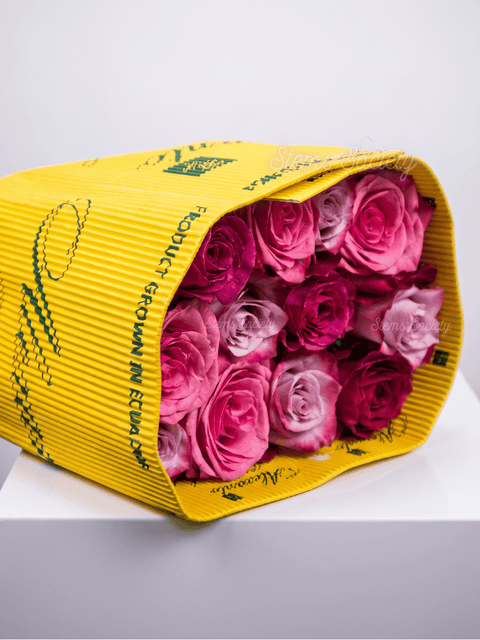 Fuchsia Roses