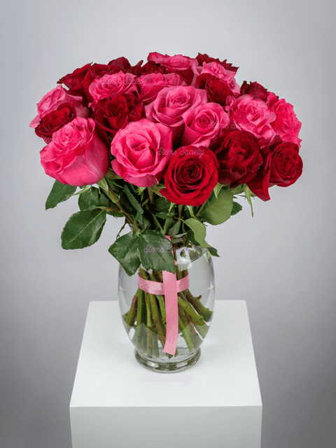 Red & Hot Pink Roses