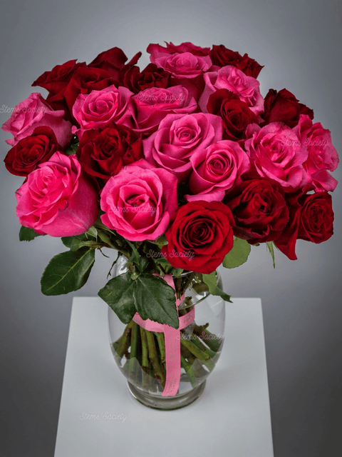 Red & Hot Pink Roses