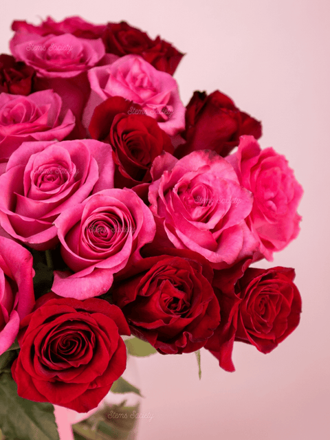 Red & Hot Pink Roses