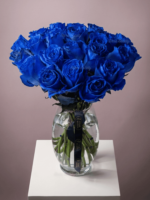 Blue Roses