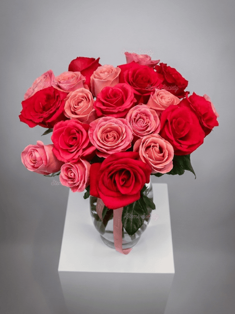 Pink & Hot Pink Roses