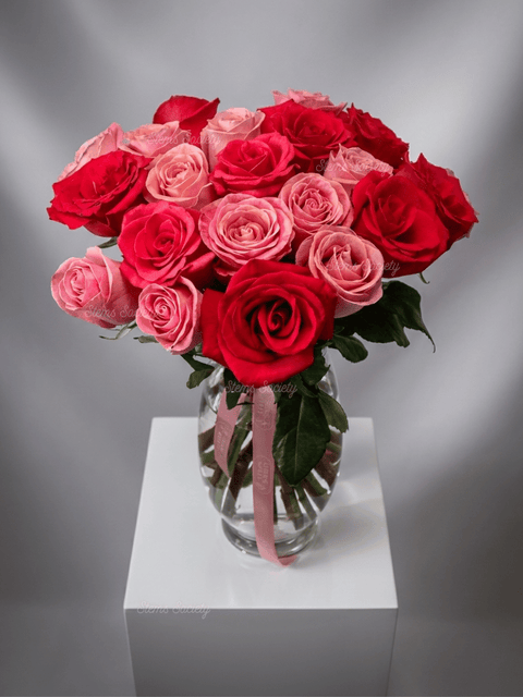 Pink & Hot Pink Roses