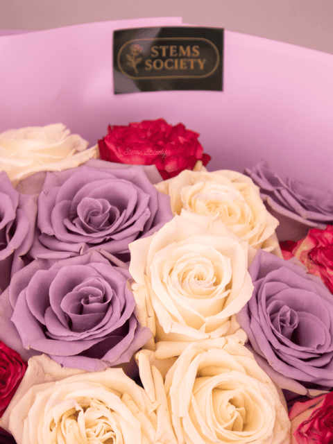 Attitude Roses