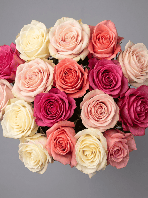 Pink Deluxe Roses