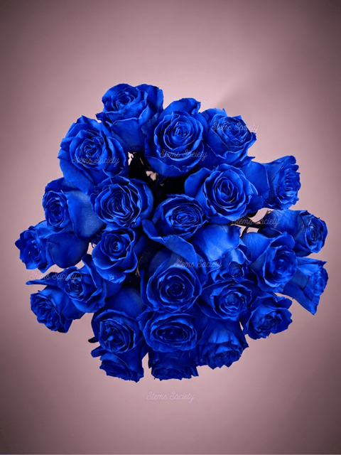 Blue Roses