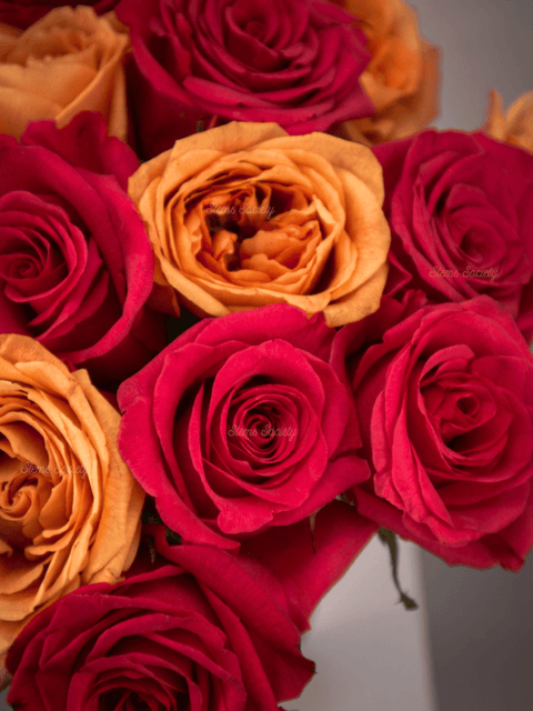 Lollipop Roses
