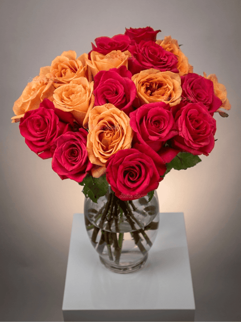 Lollipop Roses