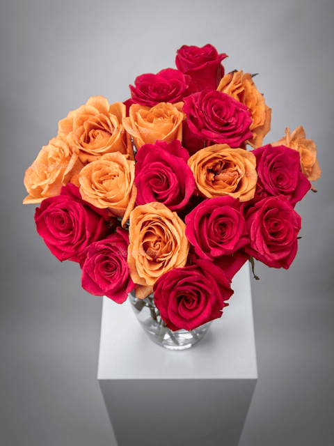Lollipop Roses