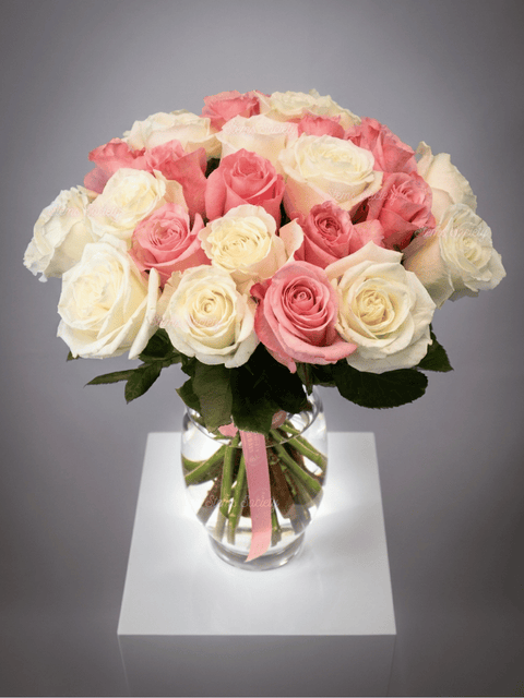 Pink & White Roses