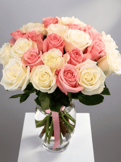 Pink & White Roses
