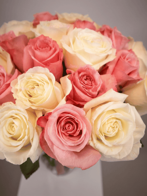 Pink & White Roses