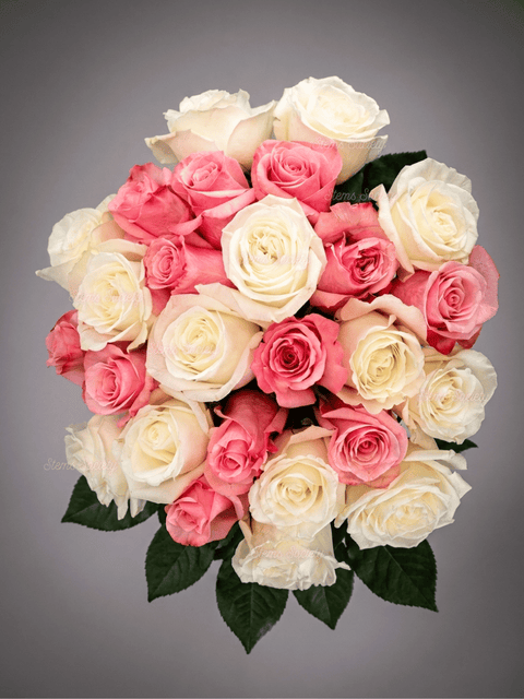 Pink & White Roses
