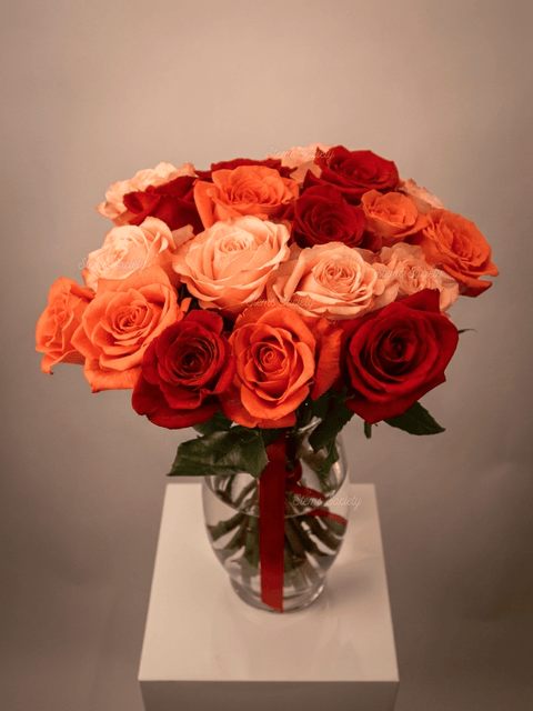 Garden Devotion Roses