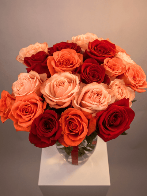 Garden Devotion Roses