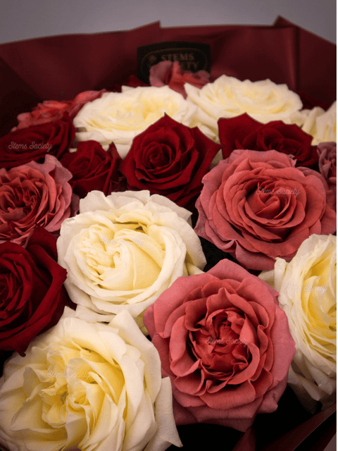 Garden Special Roses