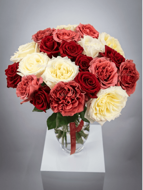 Garden Special Roses