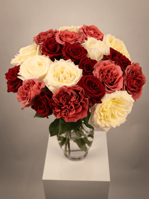 Garden Special Roses