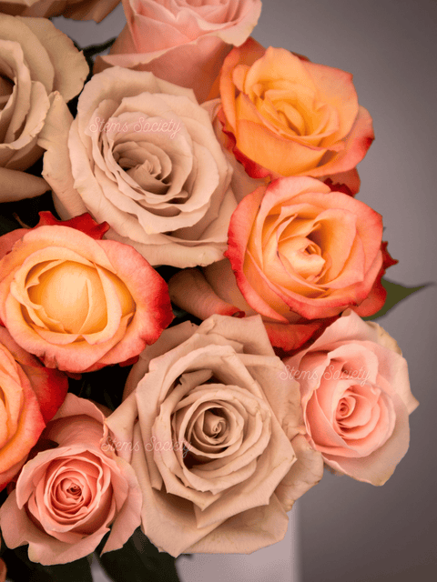Caramel Roses