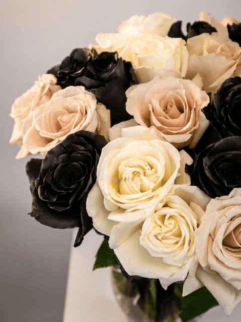 Black Deluxe Roses