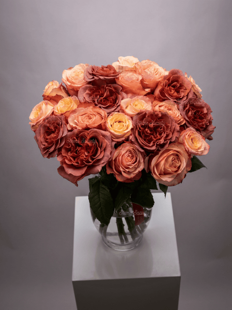 Garden Sorrento Roses