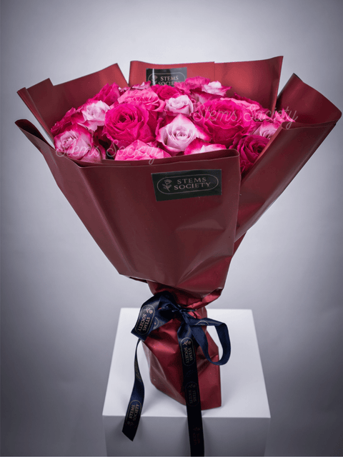 Fuchsia Roses
