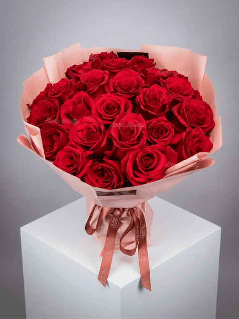 Hot Pink Roses