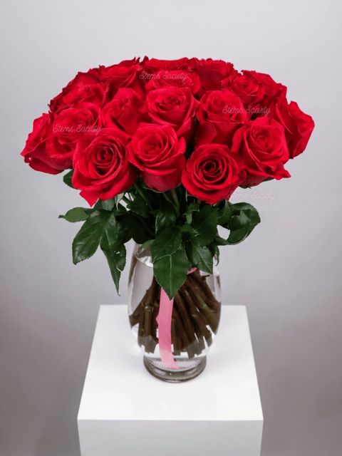Hot Pink Roses