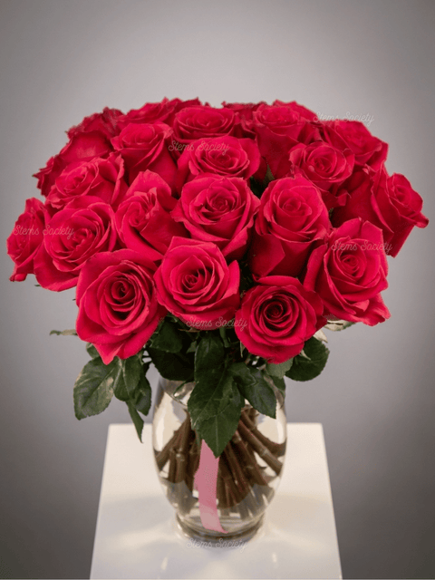 Hot Pink Roses