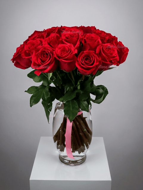 Hot Pink Roses