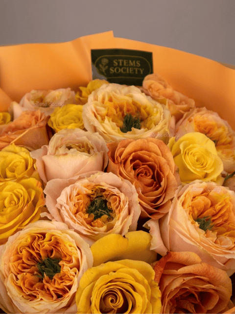 Garden Happy Roses