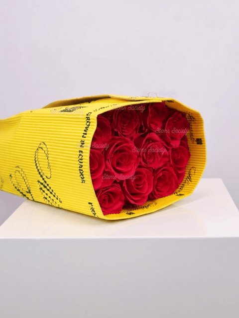 Hot Pink Roses