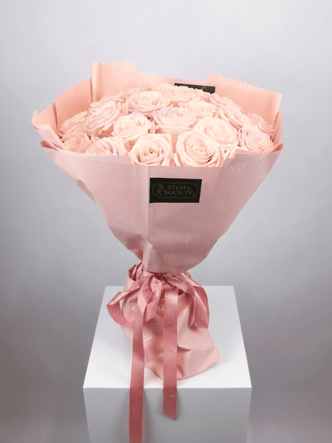 Light Pink Roses