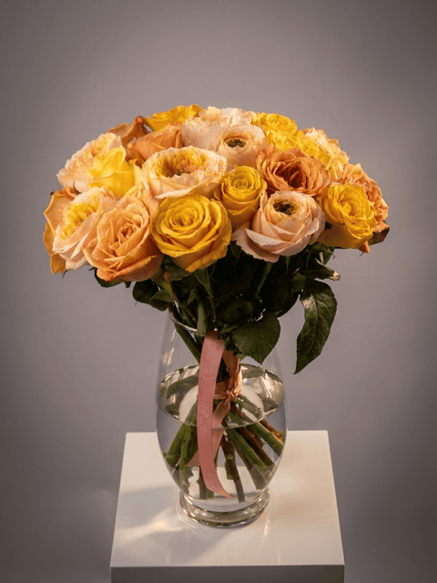Garden Happy Roses