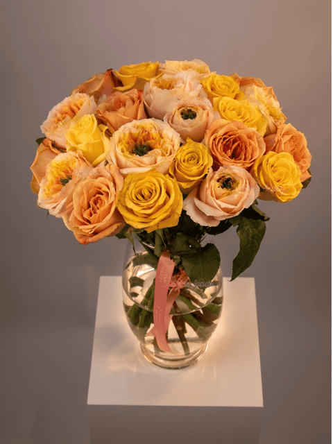 Garden Happy Roses