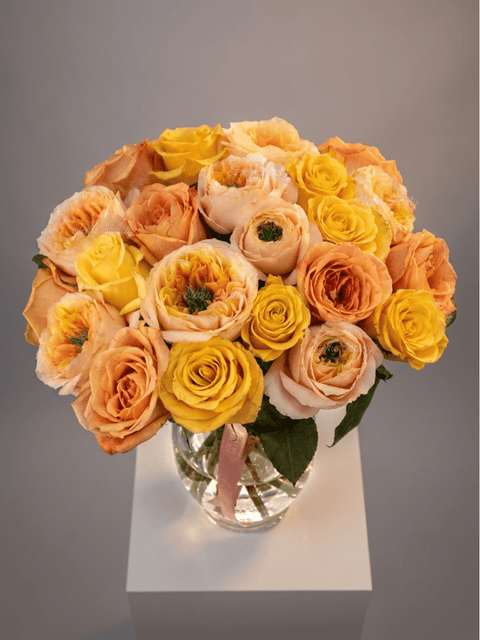 Garden Happy Roses