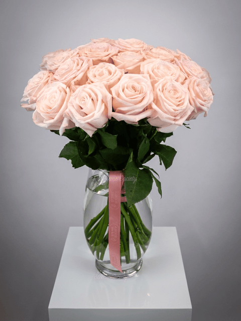 Light Pink Roses