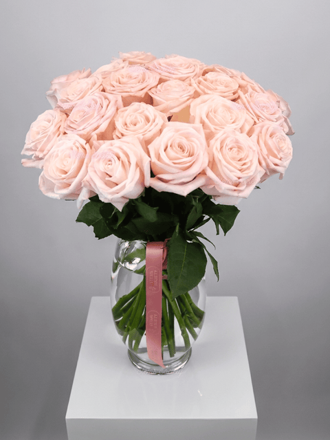 Light Pink Roses