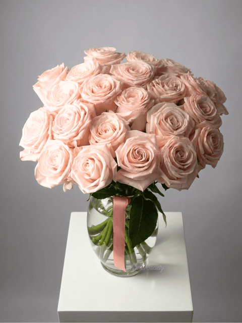 Light Pink Roses