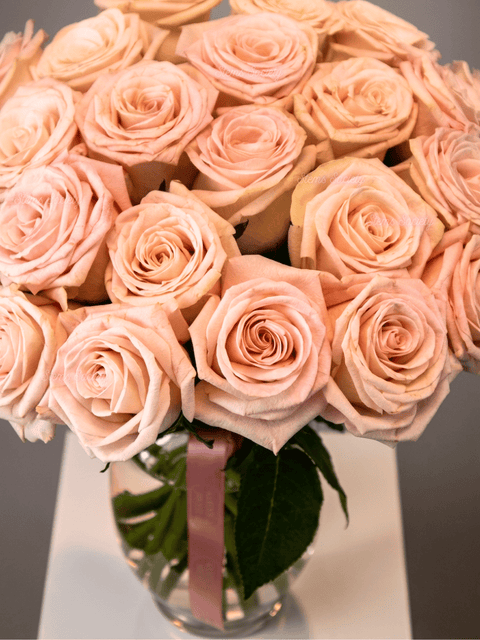 Light Pink Roses