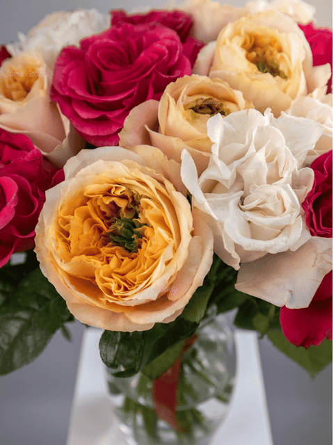 Garden Hot Pink & Melon Roses
