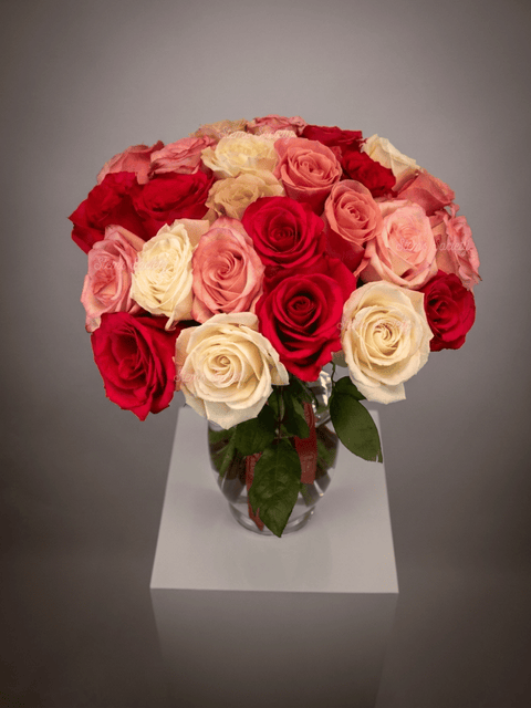 Hot Pink Deluxe Roses