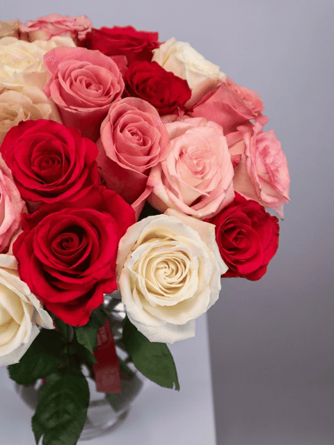 Hot Pink Deluxe Roses